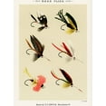 thumbnail image 2 of Marbury, Mary Orvis 12x14 Gold Ornate Wood Framed with Double Matting Museum Art Print Titled - Bass Fishing Flies VIII from Favorite Flies and Their Histories, 2 of 4