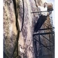 thumbnail image 2 of Photographer Charles D'Emery At Mt. Rushmore. He Documented The Progress Of The Carving For Over A Decade History (, 2 of 2