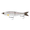 Baby Speck, variant on 6th Sense Draw Coastal Series Swimbait, 6.5", Live HD Mullet