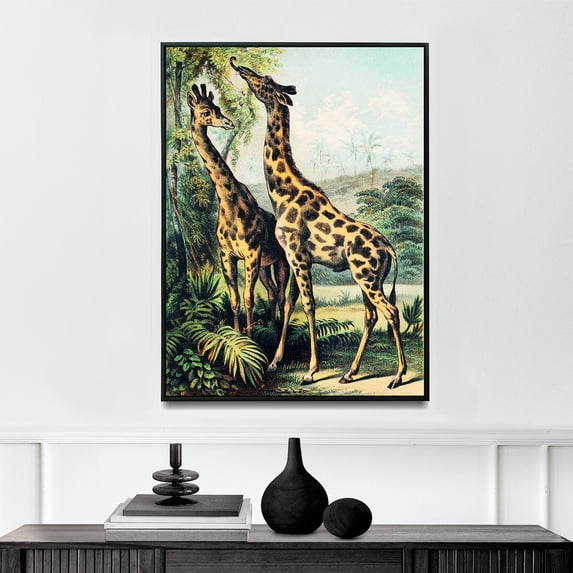 Giraffe - 1880 | John Karst | Premium Fine Art Print | 18th Century American | Illustration | Portrait | Nature Art