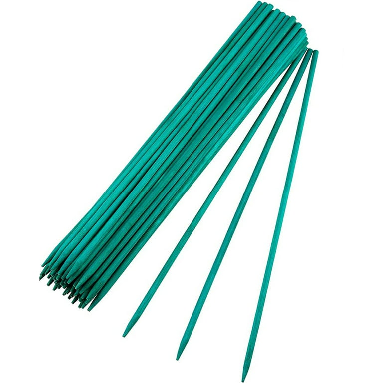 Casewin 20Pcs 40cm Green Plant Support Sticks, Bamboo Plant Stakes Split  Canes, Floral Sticks Garden Flower Sticks for Orchid Pea Vegetables Support  (15.7 Inch) 