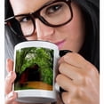 thumbnail image 2 of 3drose, Usa, Missouri, Sandy Creek Covered Bridge State Historic Site., 11oz Two-tone Black Mug, 2 of 6