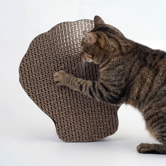 One Paw, Sea Shell Cat Scratcher, Made of Cardboard, for Cats