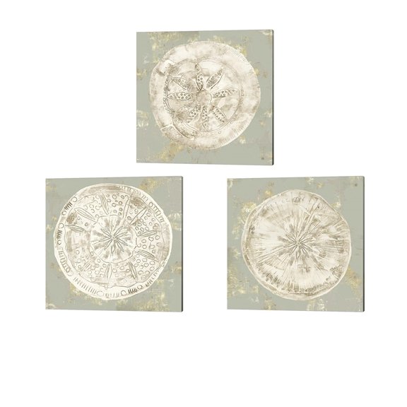 Metaverse Aimee Wilson 'Cone Shells' Canvas Art (Set of 3)