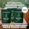 thumbnail image 2 of Betterbrand Mullein Chewable Gummies for Lung Cleanse and Detox, Respiratory Health Supplement, 1000mg Mullein Extract per Serving, 180 Gummies - 90 Day Supply - Pear Flavored, 2 of 8