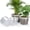8+10+12 Inch-15pcs, variant on 8 Inch-10pcs Plastic Plant Pots with Drainage Holes, Indoor Outdoor Gardening for Seedlings Flowers Vegetables