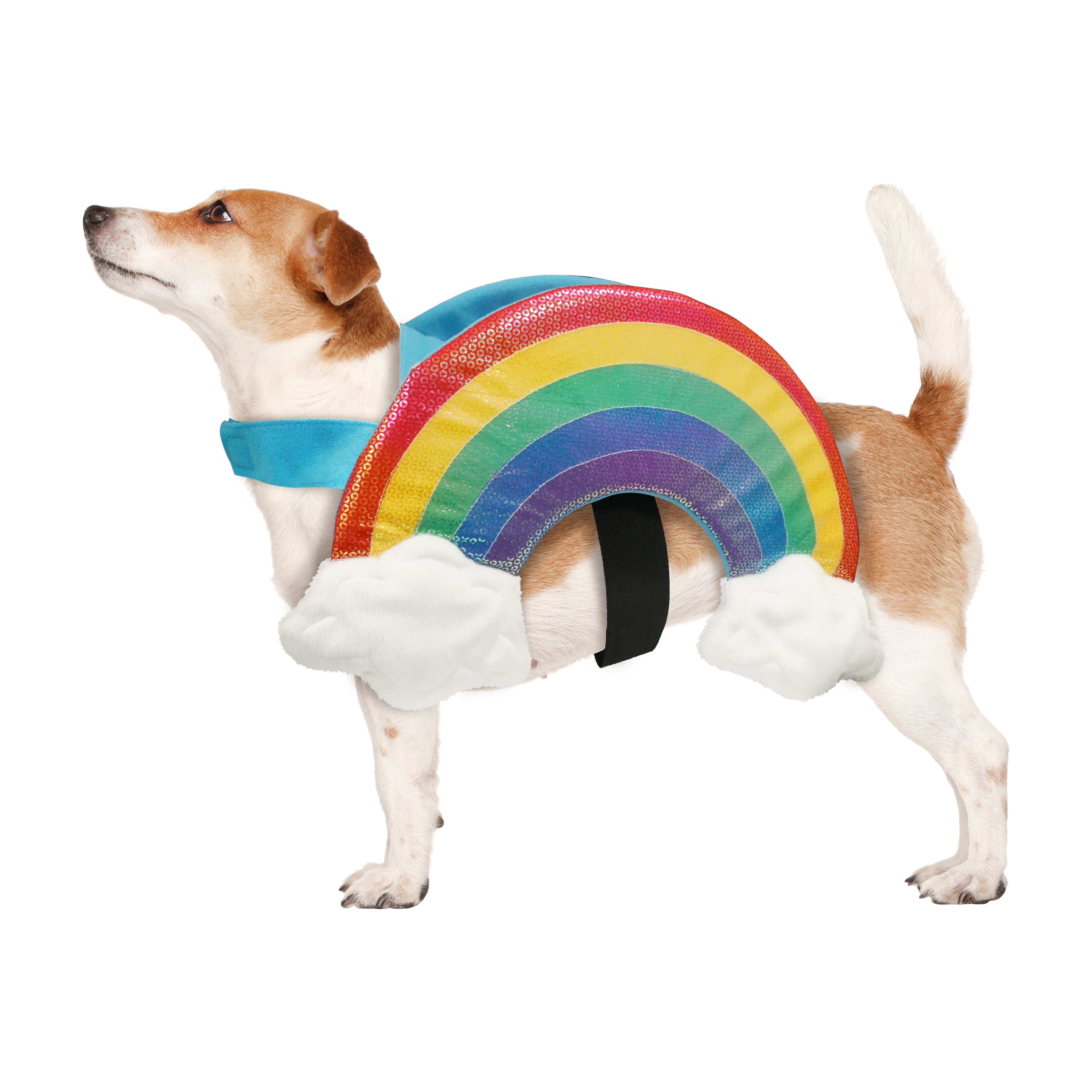 Best Furry Friends Costume for Dogs or Cats, Rainbow, Small