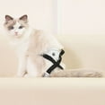 thumbnail image 4 of Eisoary Pet Menstrual Pant High Absorbent Pet Diaper Adjustable Puppy Nappies Female Cat Sterilization Suit Dog Underwear Briefs Black S, 4 of 13