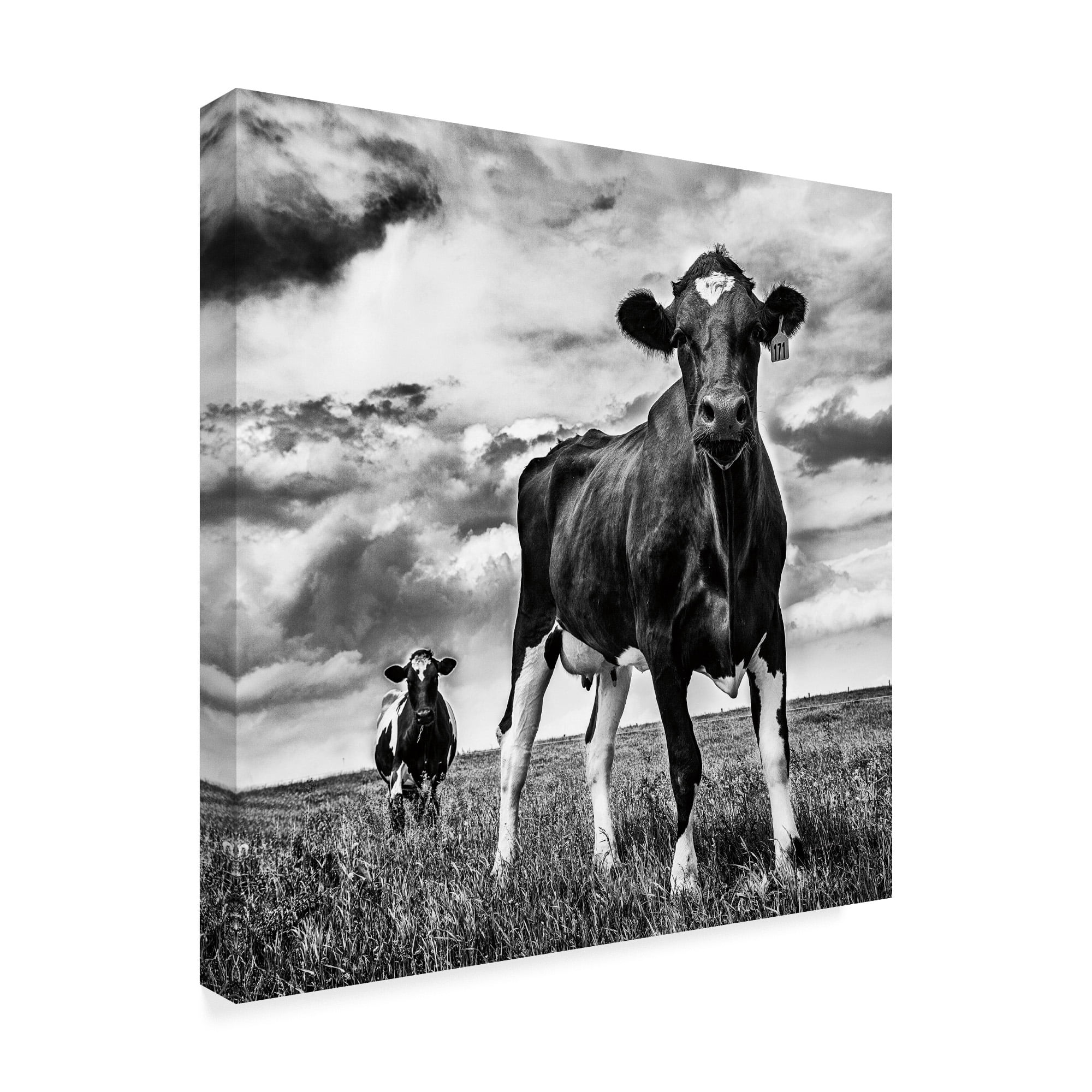 Trademark Fine Art 'Waiting BW Crop' Canvas Art by Aledanda