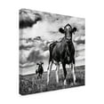 thumbnail image 2 of Trademark Fine Art 'Waiting BW Crop' Canvas Art by Aledanda, 2 of 3