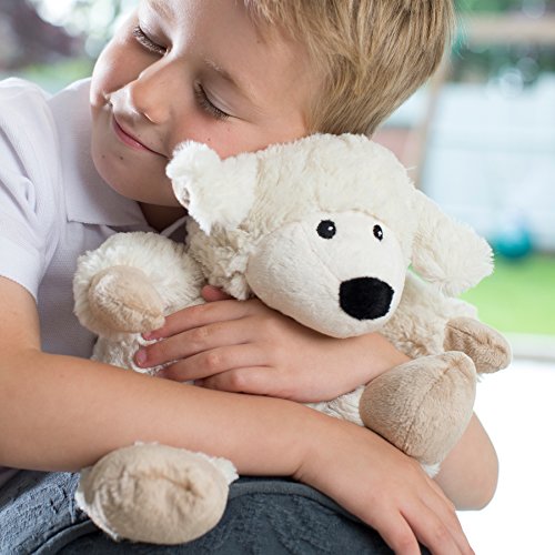 intelex warmies sheep