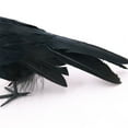 thumbnail image 3 of Halloween Decorations Realistic Birds Black Feathered Crows - Halloween Ravens Prop Décor,Outdoor Indoor Party Decoration, 3 of 5