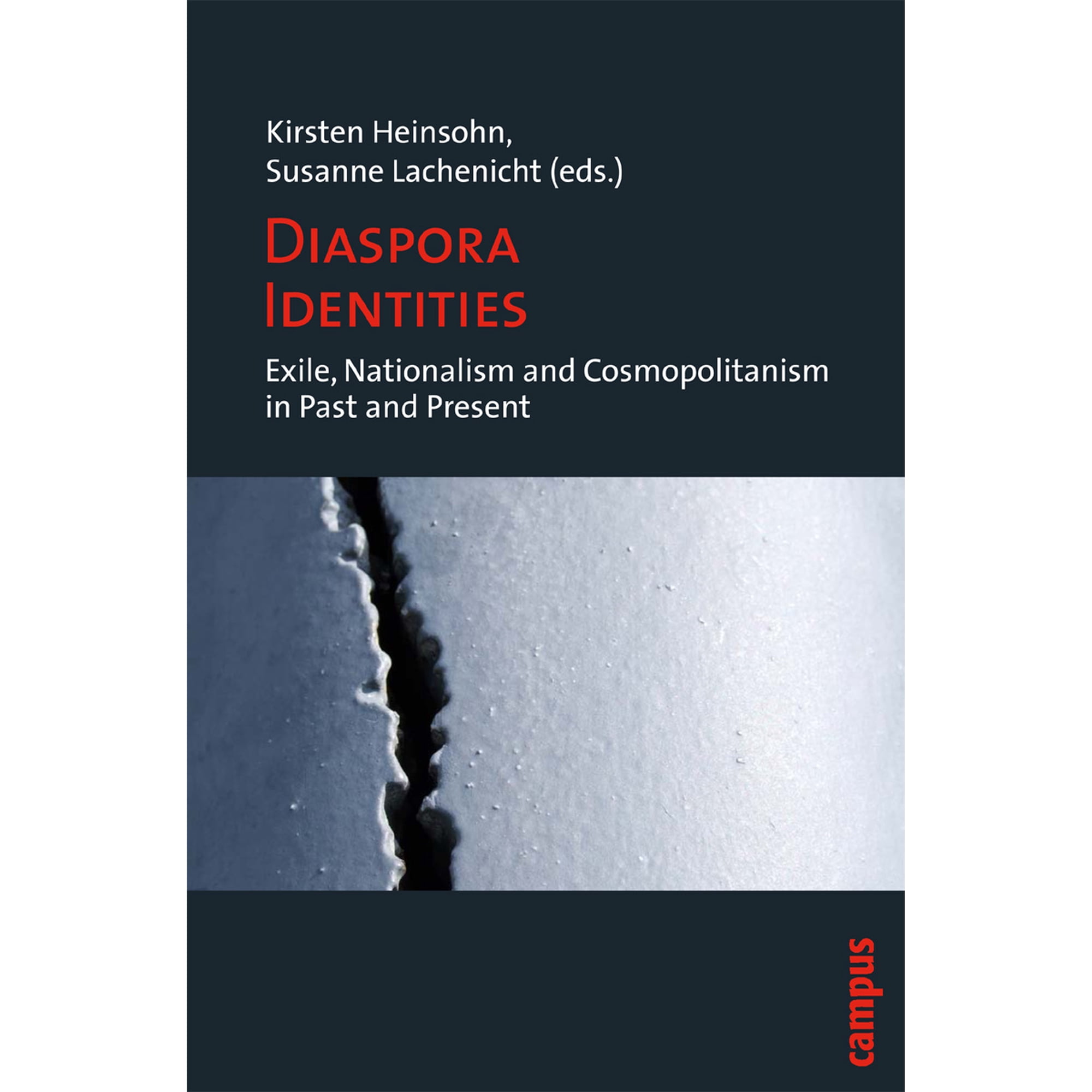 Diaspora Identities : Exile Nationalism and Cosmopolitanism in Past and Present (Paperback)