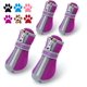 thumbnail image 1 of Zapatos para perros QUMY para perros pequeños, botas para cachorros y P, 1 of 5