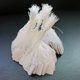 thumbnail image 5 of Giyblacko - Oferta de útiles escolares, notas adhesivas, etiquetas blancas, papel de regalo, tarjetas para joyería, ropa, mensajes, etiquetas en blanco, 500 unidades, oficina y papelería, 5 of 8