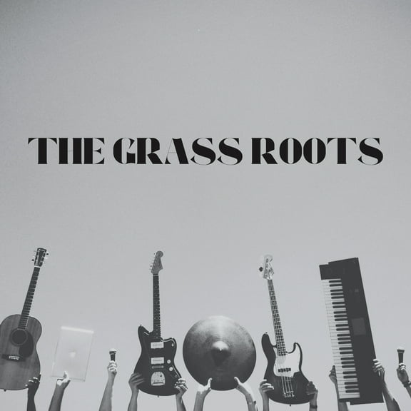The Grass Roots - The Grass Roots Greatest Hits! - Music & Performance - CD