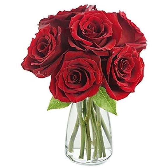 KaBloom :The Romantic Classic Red Rose Bouquet of 6 Red Roses (Farm-Fresh) with Vase.