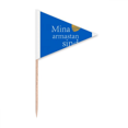 thumbnail image 1 of Estonia Drapeaux pour Cupcakes Triangle Cure-Dents Ethnicité Scripte Littérale, 1 of 3