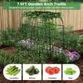 thumbnail image 4 of Patiojoy Garden Arch Trellis 7.5 FT Tall Garden Arch Plant Tunnel Trellis with Trellis Netting Tunnel Plant Support, 4 of 9