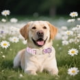 thumbnail image 4 of Collar para perro DOGWONG con estampado de flores ajustable de 10 a 16 pulgadas, 4 of 6