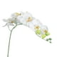 thumbnail image 3 of Orquídea artificial para decoración del hogar (blanca), 3 of 5