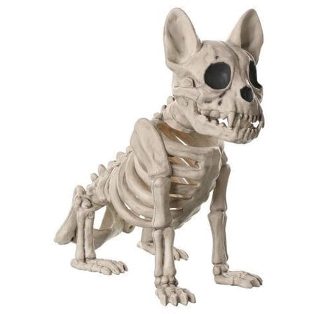 French Bulldog Skeleton Halloween Tabletop Decoration 11 in