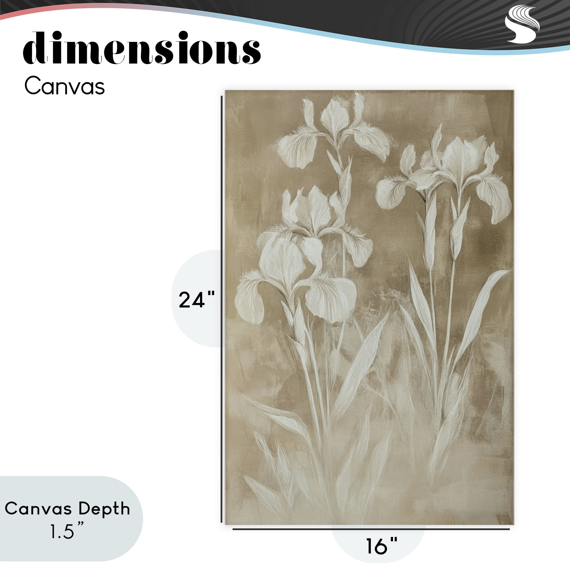 Stupell Industries Neutral Iris Botanical Study Canvas Wall Art, design by Petal Prints Design