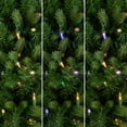 thumbnail image 4 of Northlight Real Touch™️ Pre-Lit Washington Frasier Fir Multi-Function Slim Christmas Tree - 7.5' -, 4 of 9