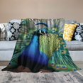 thumbnail image 2 of SHERONV Peacock Feathers Warm Lightweight Blanket Soft Fleece Blankets Throw Blanket All Seasons 40x50in, 2 of 6