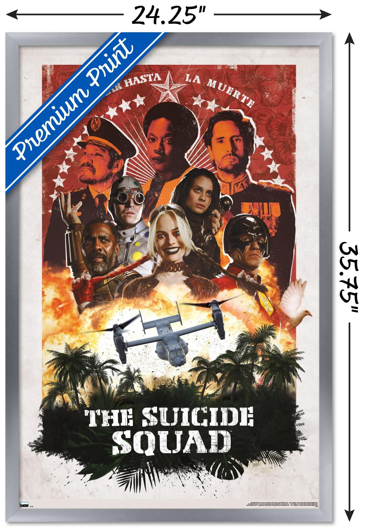 DC Comics Movie The Suicide Squad - Plane Group Wall Poster, 22.375" x 34", Framed