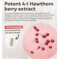 thumbnail image 3 of Healths Harmony Hawthorn Berry Supplement, Extra Strength Hawthorn 4:1 Extract, 120 Capsules, 3 of 10