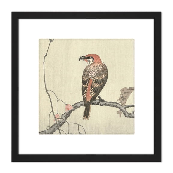 Ohara Koson Crossbill On Tree Branch Japanese 8X8 Inch Square Wooden Framed Wall Art Print Picture with Mount