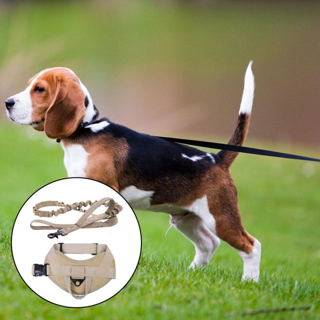 Azote de Arnés de Perro Suave Chaleco Interior Capa Interior Malla Delantera Correa Clip Desmontable Detagrante Extraíble Servicio -Tire a Set khaki m Colco Perros arnés chaleco
