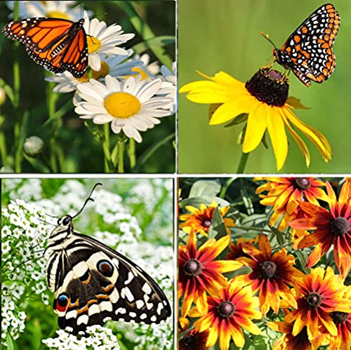 Perennial Wildflower Seeds Package with 25 Different Varieties 100,000 ...