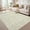 8*10ft Light green, variant on Washable Rug 8x10 Area Rug for Living Room Solid Blue Rug Modern Rug, Non Slip Soft Thin Rug, Distressed Plain Rug, Contemporary Foldable Printed Rug for Bedroom