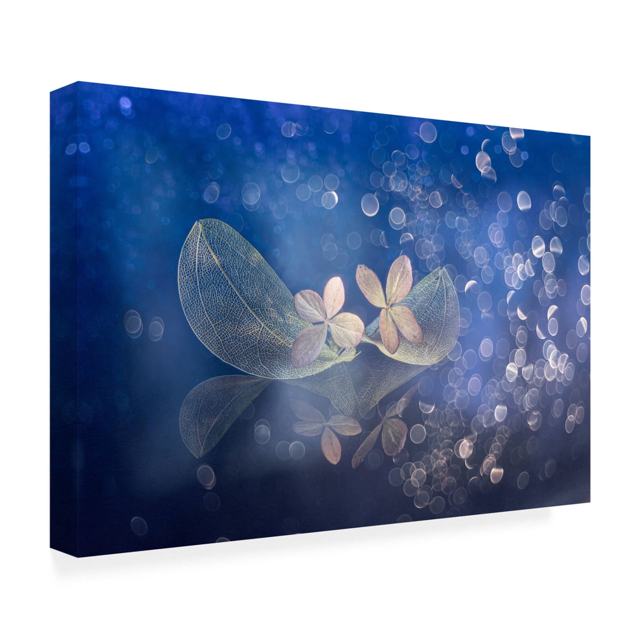 Canvas Wall Art - Igor Kopcev 'Fairytale Fantasy' Wall Art for Living Room, Bedroom, or Office Décor by Trademark Fine Art - 24 x 16 Inches