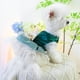 thumbnail image 3 of Vestido para mascotas ANIAC Retro Green Tulle XL para perros pequeños, 3 of 5