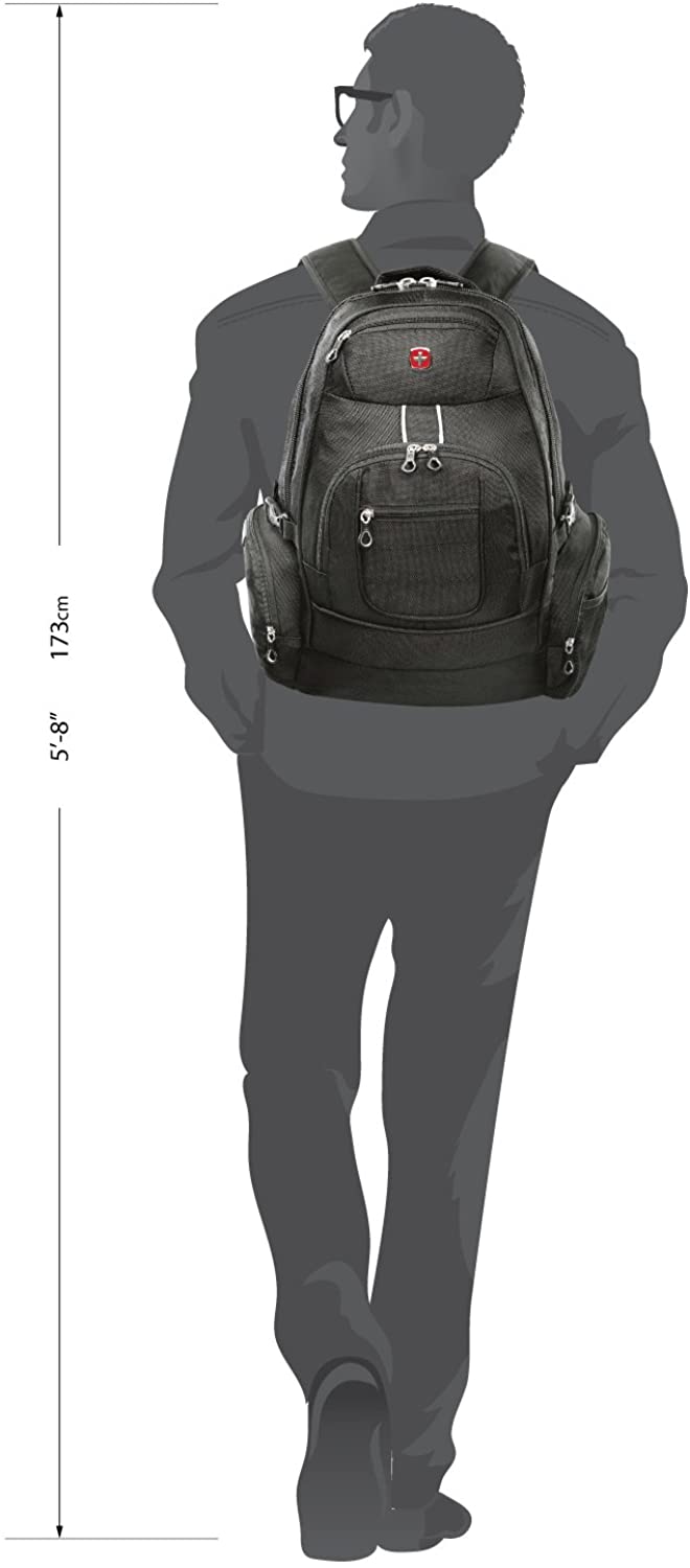 swiss gear international carry on