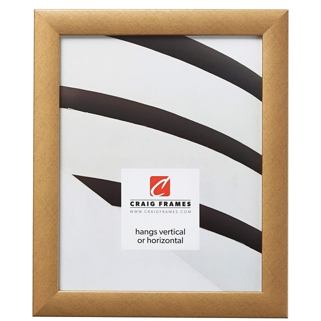 Craig Frames Cadre Photo Contemporain 9 x 12 Pouces Doré Vieilli