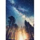 thumbnail image 1 of Pintura de diamante (DE2110) 5D DIY Cuadrado Estrellas Bosque Imagen de diamantes de imitación 30x40cm Hugtrwg Para estrenar, 1 of 1