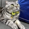thumbnail image 5 of PENGXIANG 3 Pack Cats Collars Adjustable Kitten Collars with Bell Pendant (Green Avocado, Pink Watermelon, Yellow Pineapple), 5 of 6