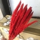 thumbnail image 5 of Phagmites De Hierba De Pampas Secas Pequeñas Decoración De Fragmitas Pequeños De Pampas Pequeños De Hierba De Decoración De Flores Secas Para Bodas En El Hotel Yuarrent HA044444-03, 5 of 6