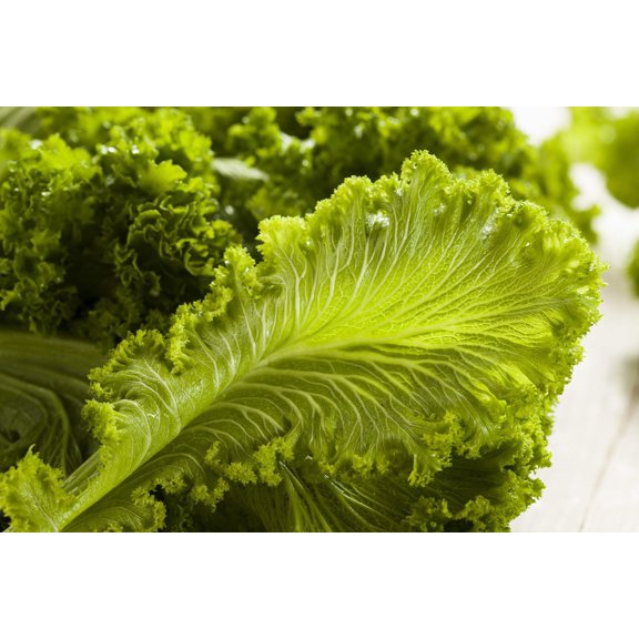 500 Seeds OLD FASHIONED MUSTARD Ragged Edge Brassica Juncea Vegetable Seeds