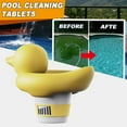 thumbnail image 4 of Floating Chlorine Dispenser Animal Shaped for Swimming Pool Swimming Pool Ponds Pond Hot Tub, 4 of 8