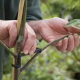 thumbnail image 3 of Esparcidores de Ramas Tren de Tallos de Plantas Extractor de Ramas de áRboles Frutales MáQuina Atadora Herramientas AgríColas Tirador de áNgulo Abierto de Ciruelo, 3 of 5