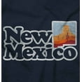 thumbnail image 2 of New Mexico Vintage Desert Vacation Unisex Plus Fleece Graphic Hoodie Brisco Brands 2X, 2 of 4
