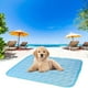thumbnail image 1 of Tapete de hielo para mascotas, mantas refrescantes de verano para camas, tapete de seda fría para dormir, cojín para sofá, tapete de hielo para perros, tapete de seda fría transparente y, 1 of 6
