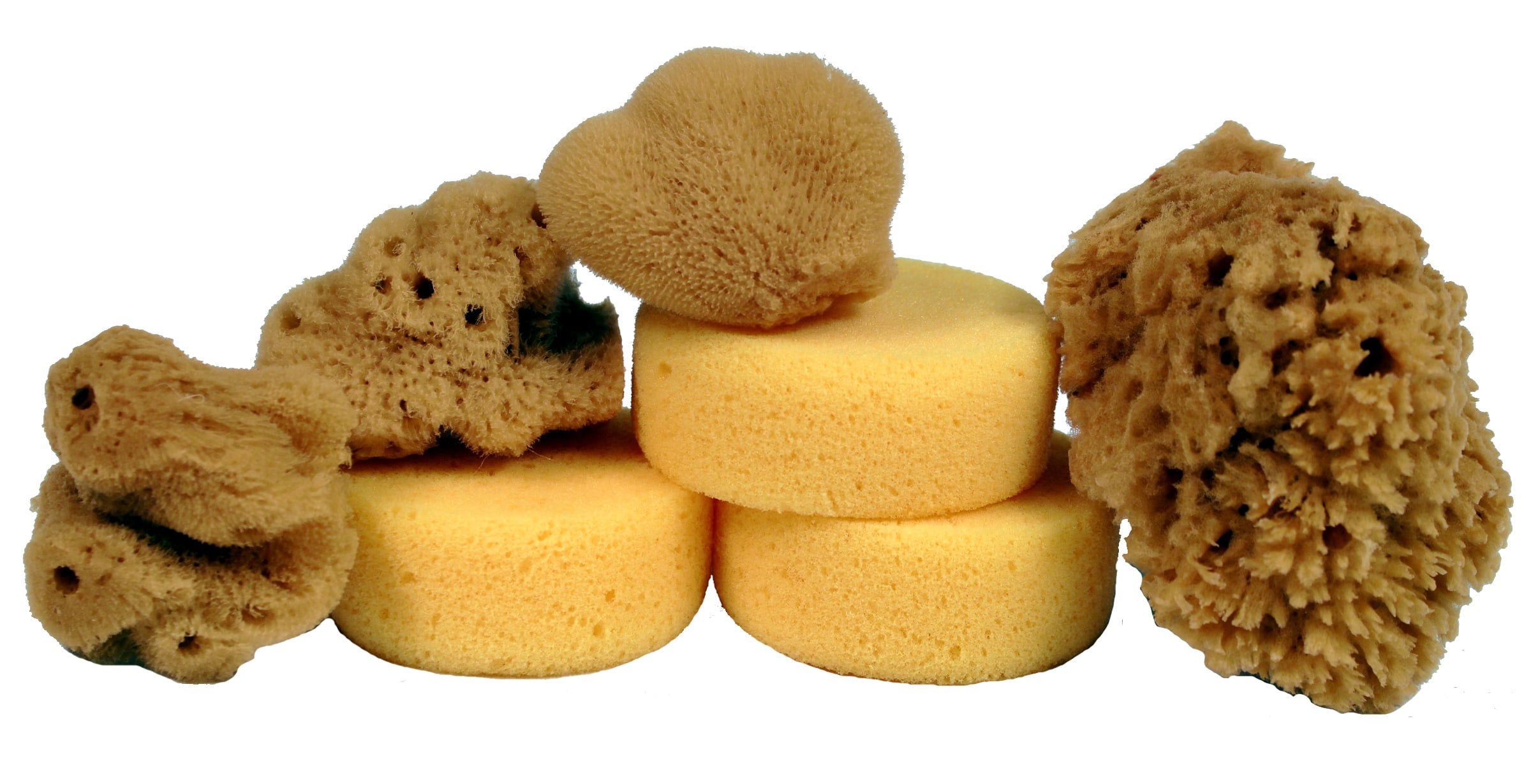 Creative HobbiesÂ® Synthetic and Natural Silk Sponges for Painting