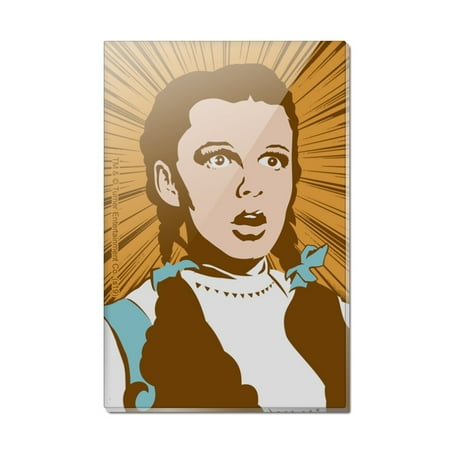 

Wizard of Oz Dorothy Not in Kansas Rectangle Acrylic Fridge Refrigerator Magnet