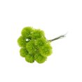 thumbnail image 2 of Yuarrent 10 Uds simulación de flores de plástico Taraxacum para decoración del hogar el plástico es resistente y duradero Decoración verde, 2 of 6